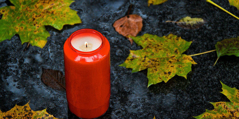 ©Gina Sanders - stock.adobe.com
