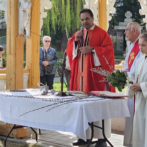 Segnung Palmzweige