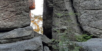 Eine offene Felsformation mit Blick auf den Himmel, goldenes Licht schimmert auf gegenüberliegenden Zweigen.